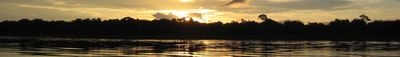 Panoramic View 1