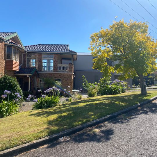 First Orange Orchard