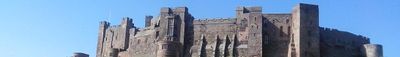 Panoramic View 0