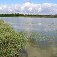 FFH-Gebiet Federsee und Blinder See bei Kanzach