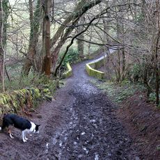 Footbridge Over The Birkey Burn 220 Metres South Of Acomb House