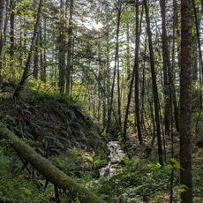 Vinzenz Lausmann Memorial State Natural Area