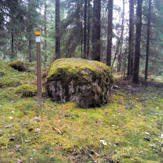 Östra Ämtervik 302:1