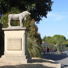 Statua