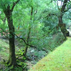 Hunting Park of Mafra