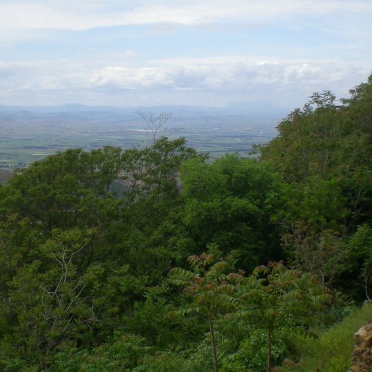 Provincia di 'Ayn Defla