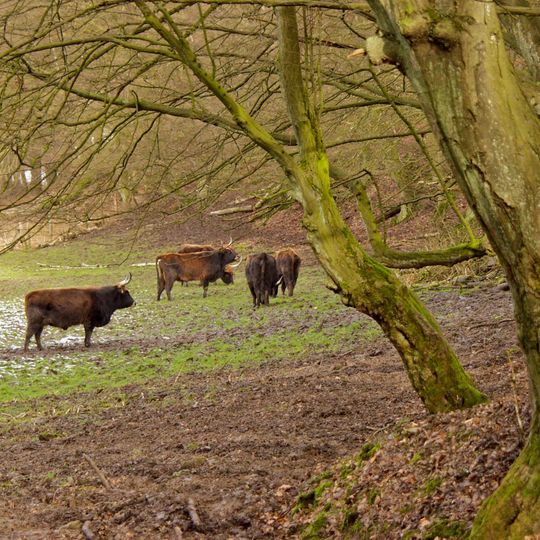 Neandertal game reserve
