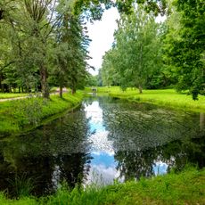Botanic pond in Pavlovsk park