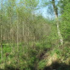 Prameniště Blatovského potoka