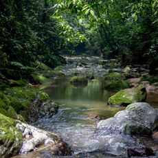 Crystal Lake Trail of Paranapiacaba