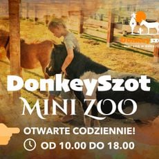 Donkey Szot