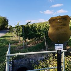 Wein- und Kulturlehrpfad am Herrenberg