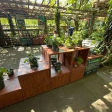 广西珍贵树种展示园