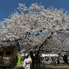 Maizuru Park Historical Grounds