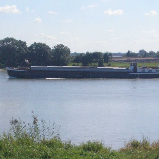 Lek