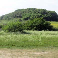 Mulbjerge