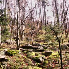 Vlčí kámen (Žďárské vrchy)