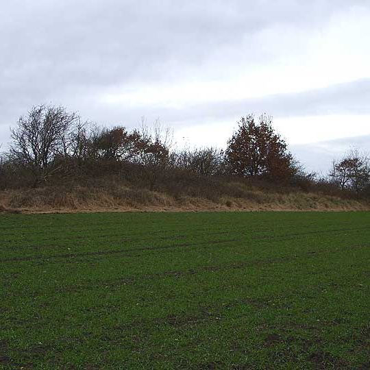 Langbetten von Harrislee