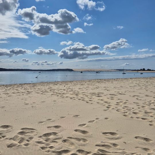 Dune du Cap Ferret