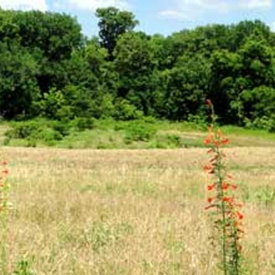 Tishomingo National Wildlife Refuge