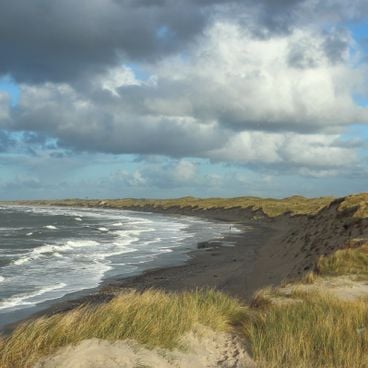 Besøke Danmark med familien: slott, naturparker, vikingsteder