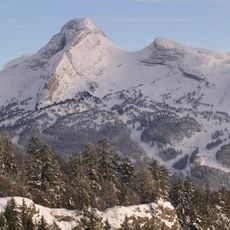 La Grande Moucherolle