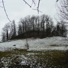 Vulkanembryo Hochbölle