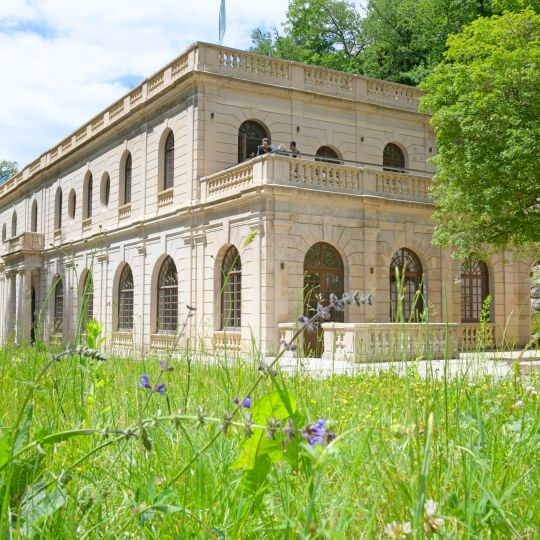 L'Auberge des Dauphins