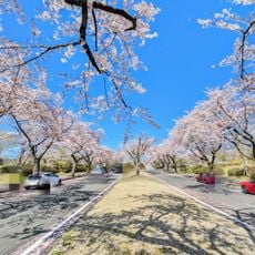 富士桜自然墓地公園