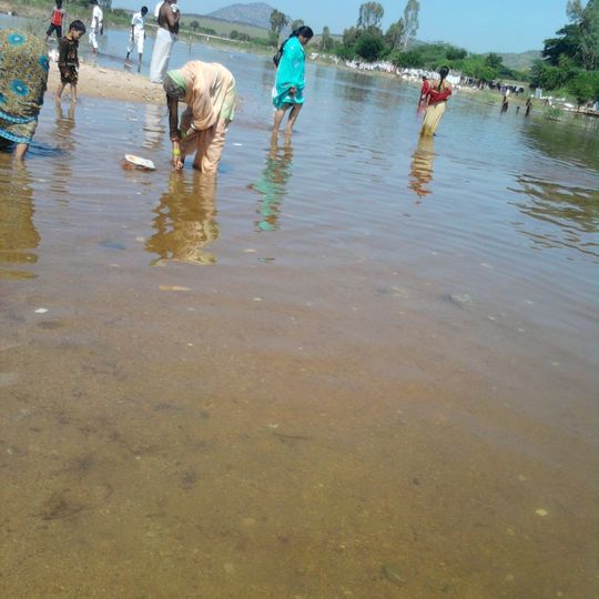 Chitravathi River