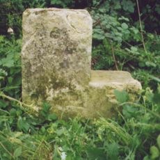 Milestone, 250m W of Lions Den Farm