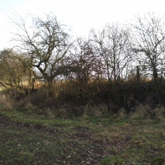 Hünenburg im Barbruch