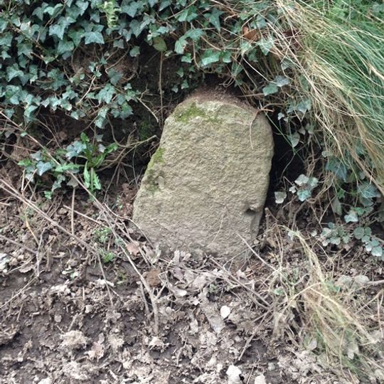 Milestone, Whistley Hill Cross, 10m down road to Dipwell