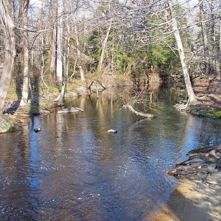 Parco statale di Killens Pond