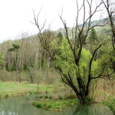 Riserva naturale Vincheto di Cellarda