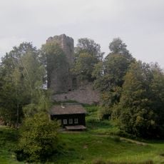 Burgruine Waldau (Baumgruppe, Ahorne, Kiefern,etc)