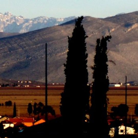 Tuzi