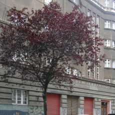 Wohnhausanlage der Gemeinde Wien