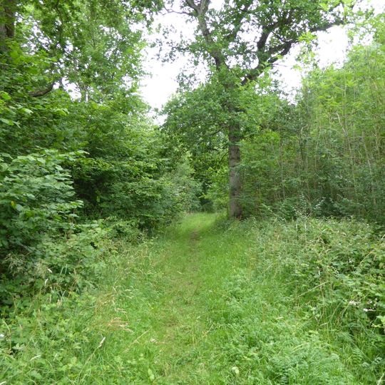 Norton Wood