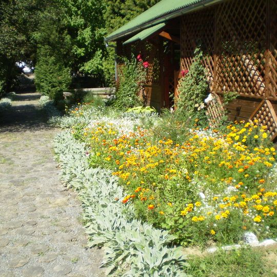 Uchnivskyi Arboretum