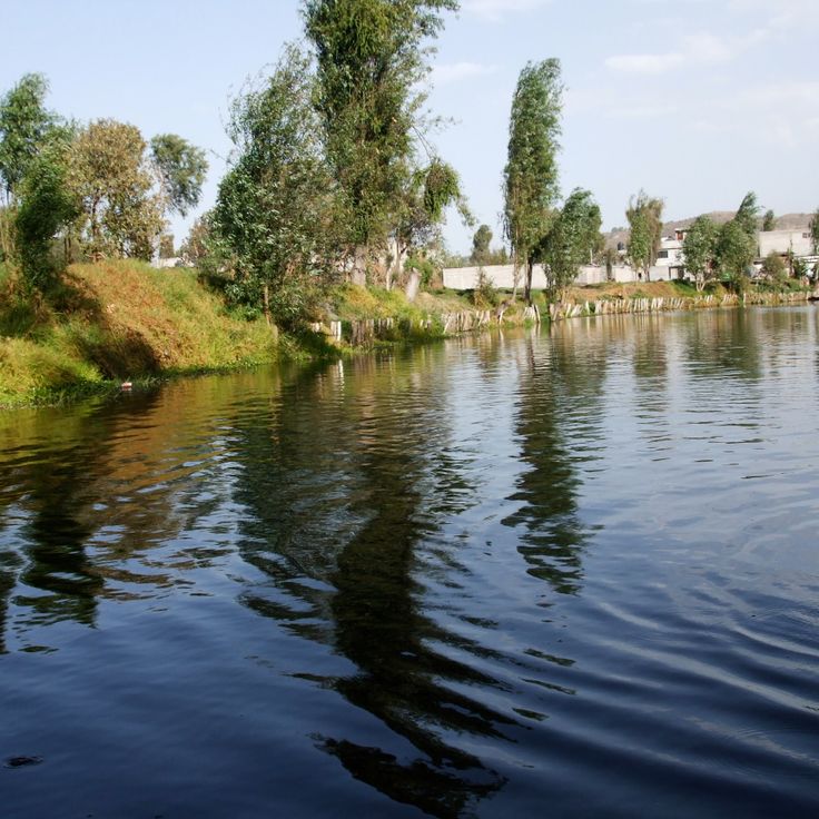 Canaux de Xochimilco