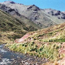 Paso Pehuenche