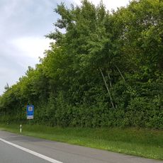 Wasserschutzgebiet Dittigheim