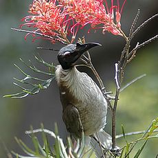 Parco nazionale di Bingera