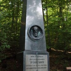 Carl Jacob Wilhelm Ludwig Koch
