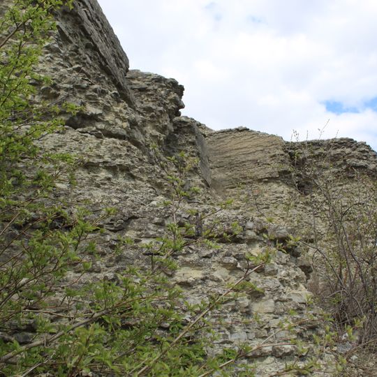 Голова велетня