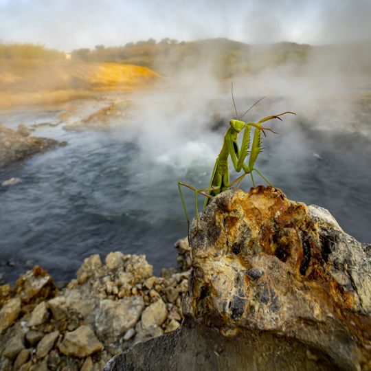 Campi di alterazione geotermica di M.Rotondo e Sasso Pisano