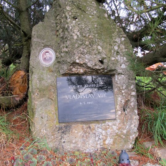 Pomník Ladislava Vika