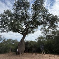 El Impenetrable National Park