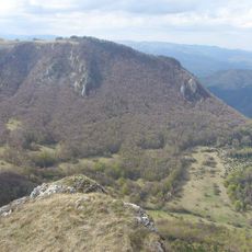 Vidalyi vörösfenyő-rezervátum